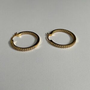 Gorgeous Hoop Earrings